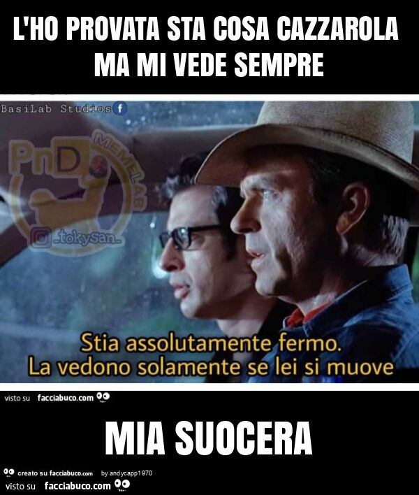L'ho provata sta cosa cazzarola ma mi vede sempre mia suocera