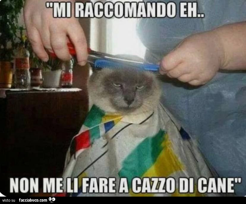 Vaccata