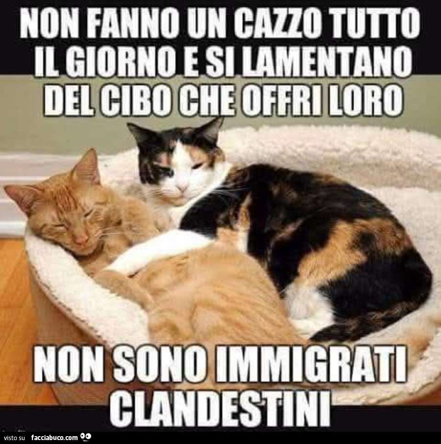 Clandestini lamentini