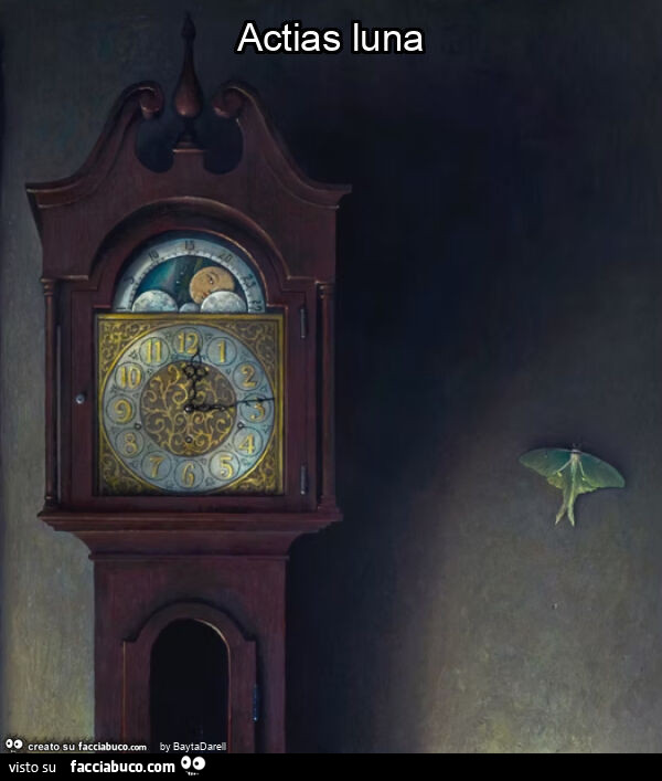Actias luna. Particolare di "Flight Pattern" by Rob Evans
