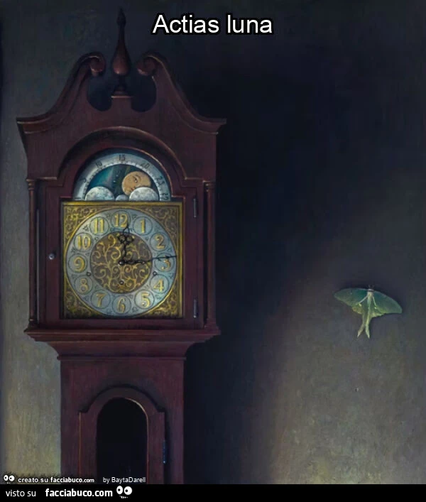 Actias luna. Particolare di "Flight Pattern" by Rob Evans