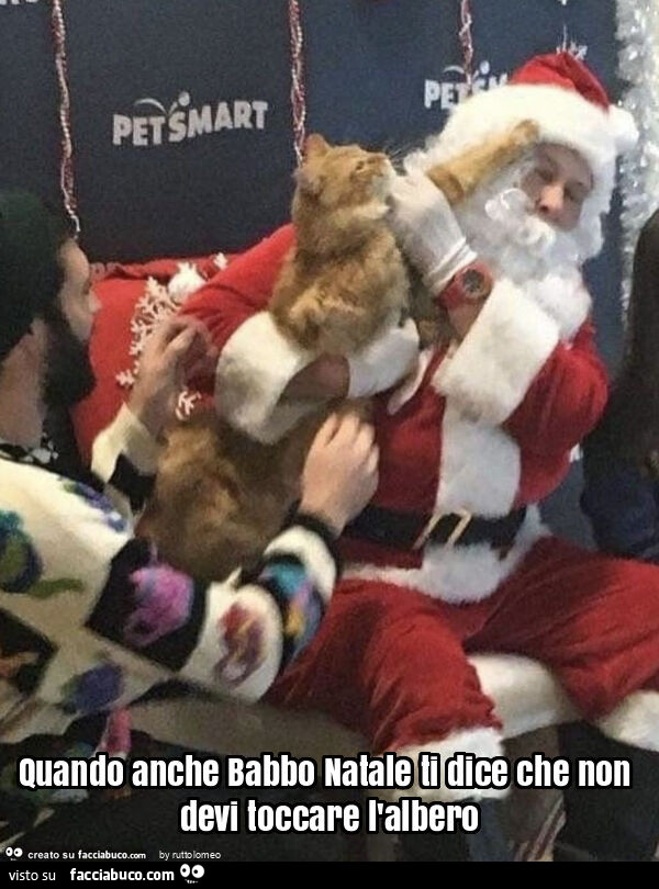 Quando anche babbo natale ti dice che non devi toccare l'albero