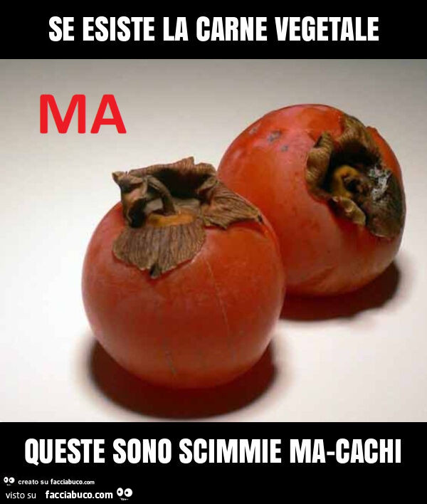 Se esiste la carne vegetale queste sono scimmie ma-cachi