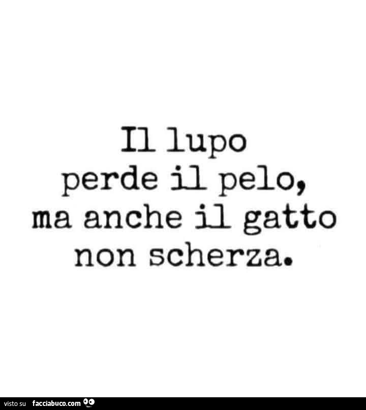 Il lupo perde il pelo, ma anche il gatto non scherza