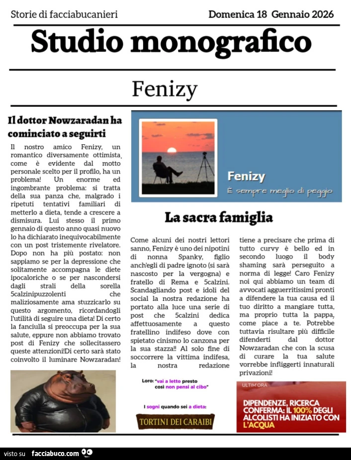 Monografia di Fenizy