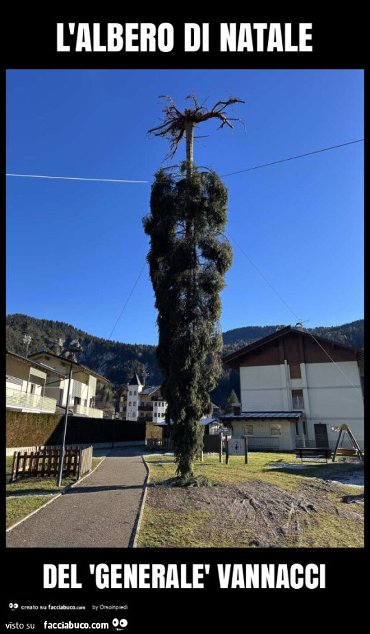 L'albero di natale del 'generalè vannacci