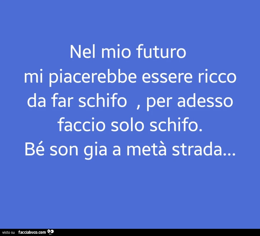 Nel mio futuro mi piacerebbe essere ricco da far schifo, per adesso faccio solo schifo. Bé son gia a metà strada