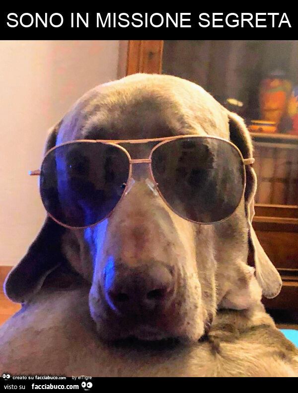 Sono in missione segreta