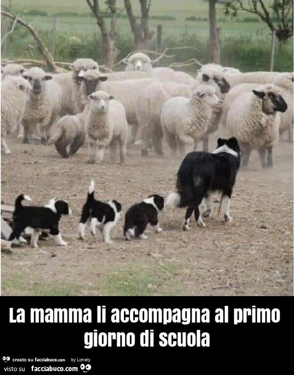 La mamma li accompagna al primo giorno di scuola