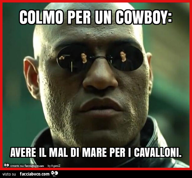 Colmo per un cowboy: avere il mal di mare per i cavalloni