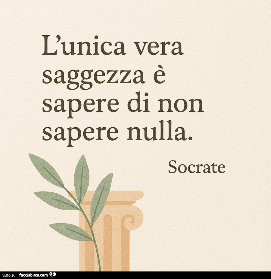 L'unica vera saggezza è sapere di non sapere nulla. Socrate