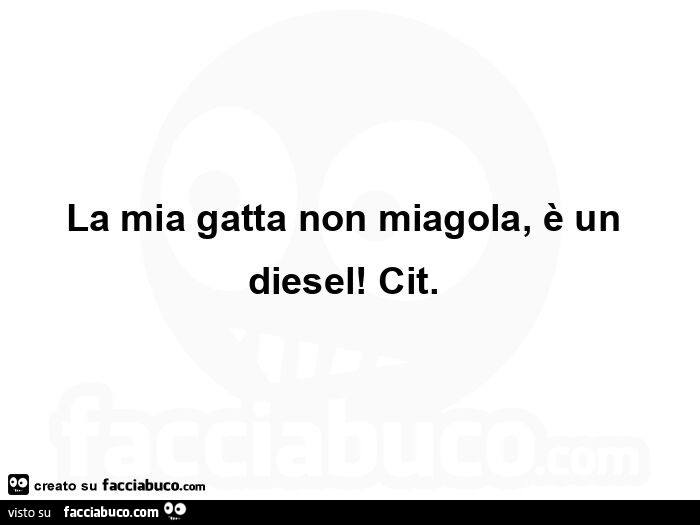 La mia gatta non miagola, è un diesel!  Cit.  