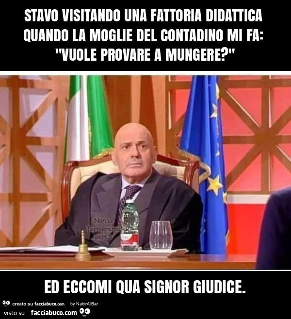 Stavo visitando una fattoria didattica quando la moglie del contadino mi fa: "vuole provare a mungere? " Ed eccomi qua signor giudice