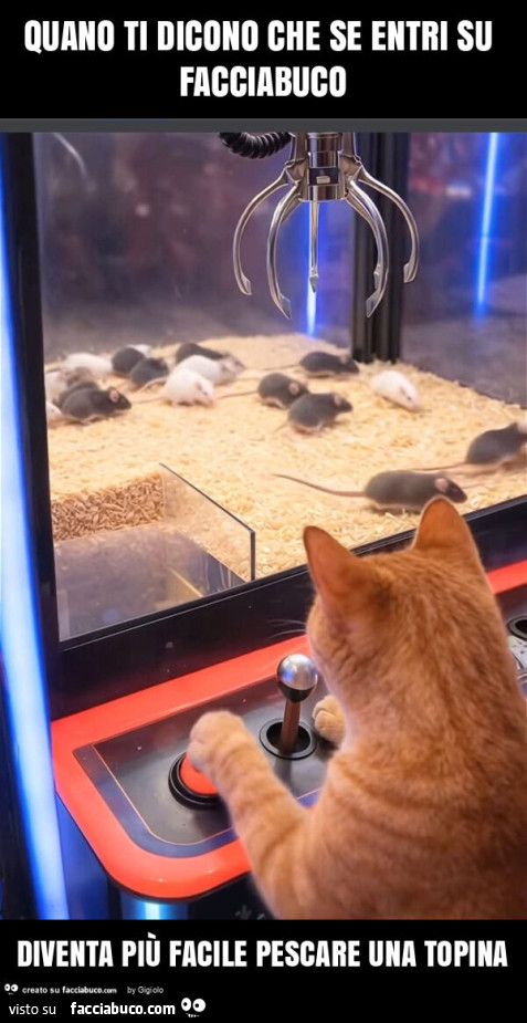 Quano ti dicono che se entri su facciabuco diventa più facile pescare una topina