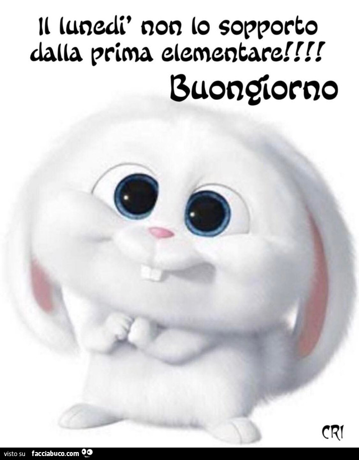 Il Lunedì non lo sopporto dalla prima elementare! Buongiorno