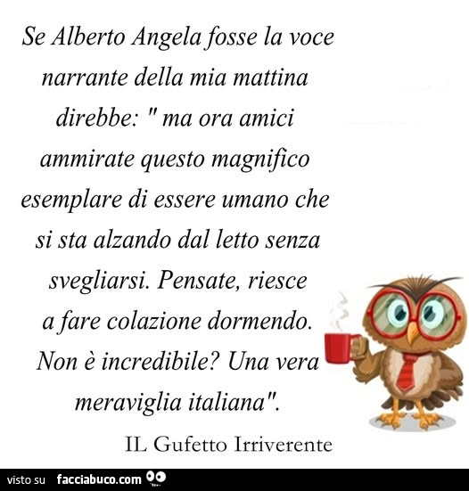 Se alberto angela fosse la voce narrante della mia mattina direbbe: ma ora amici ammirate questo magnifico esemplare di essere umano che si sta alzando dal letto senza svegliarsi