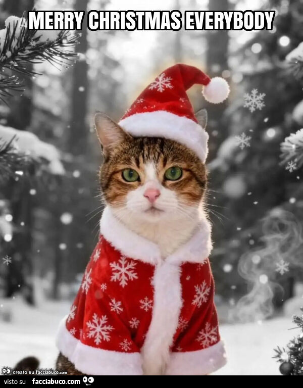 Merry christmas everybody