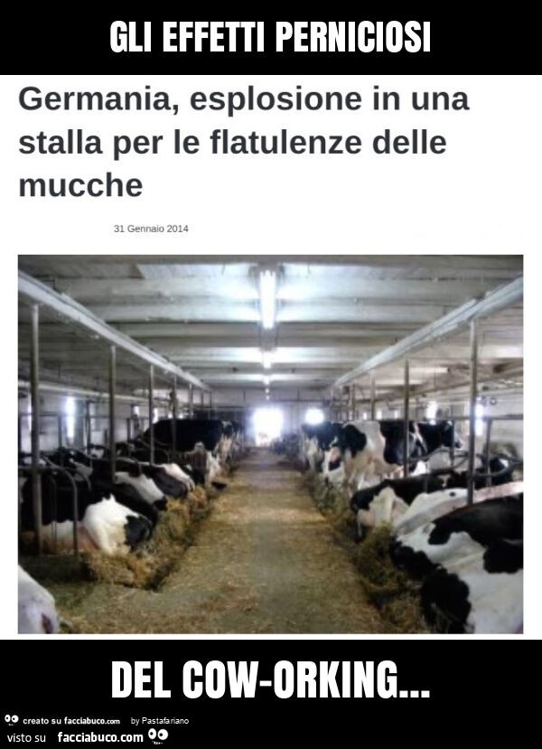 Gli effetti perniciosi del cow-orking
