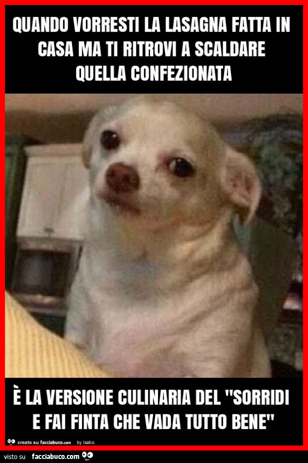 Quando vorresti la lasagna fatta in casa ma ti ritrovi a scaldare quella confezionata è la versione culinaria del "sorridi e fai finta che vada tutto bene"