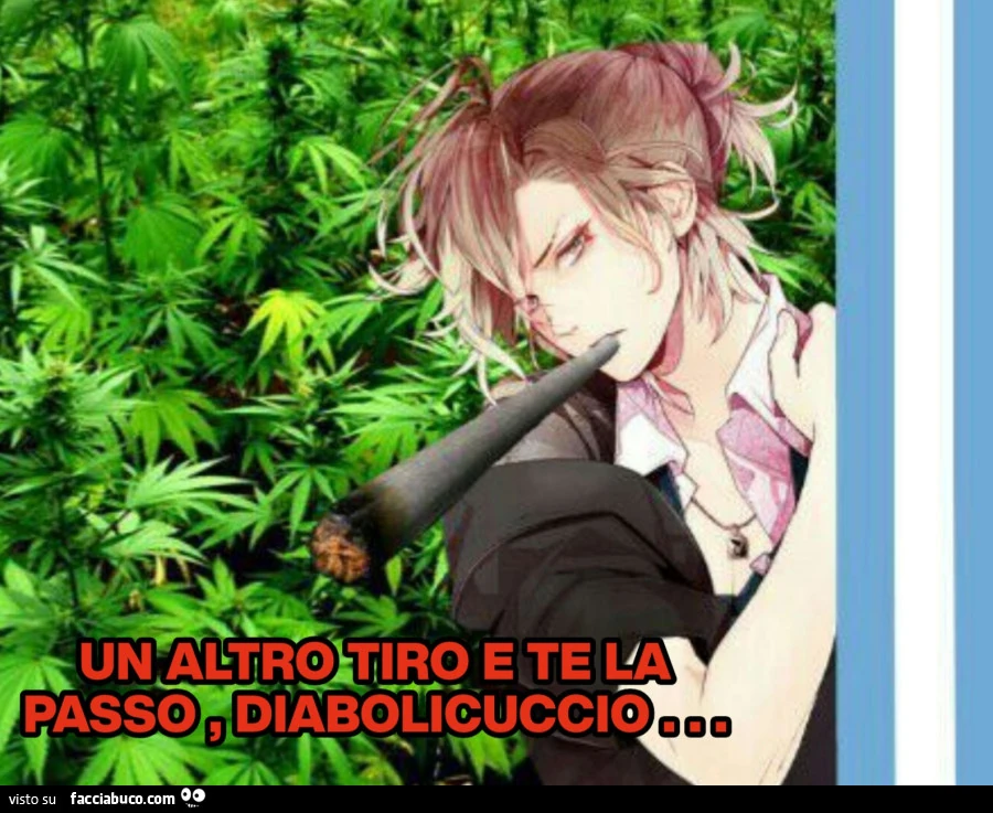 Vaccata