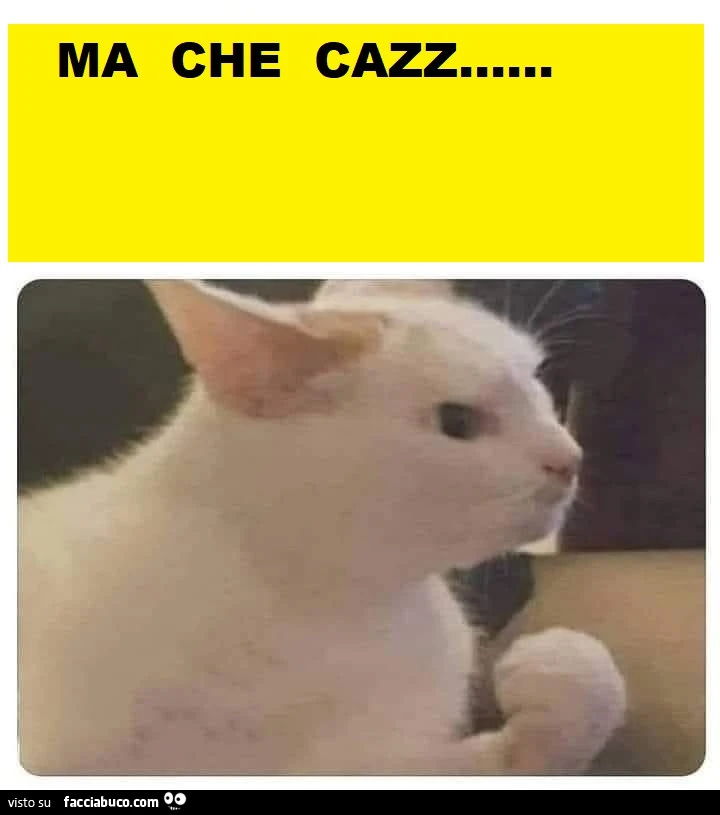 Vaccata