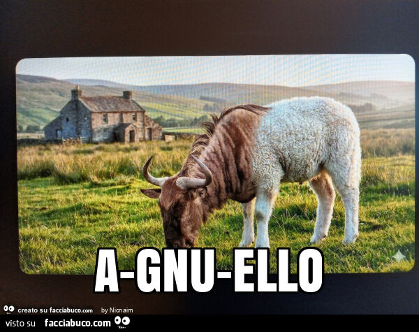 A-gnu-ello