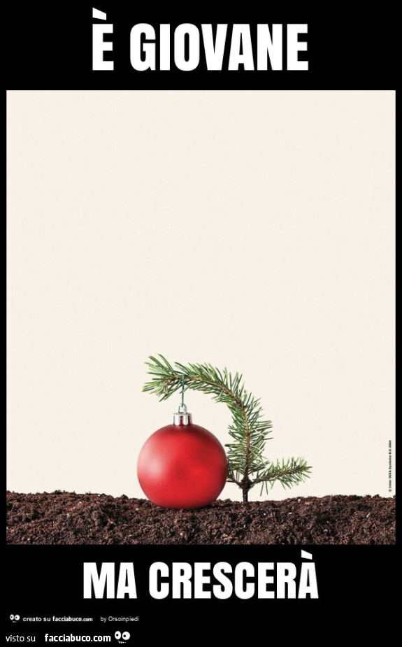 È giovane ma crescerà