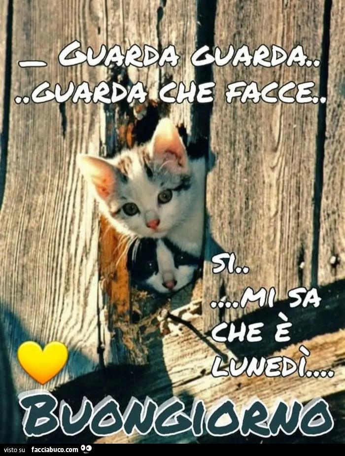 Lunedì