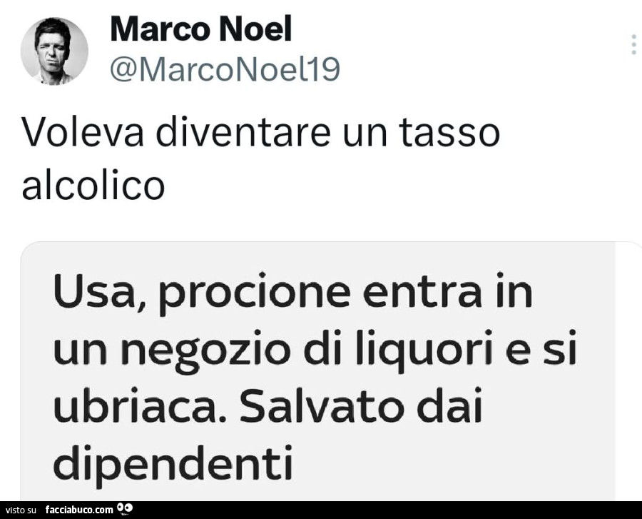 Voleva diventare un tasso alcolico. Usa, procione entra in un negozio di liquori e si ubriaca. Salvato dai dipendenti