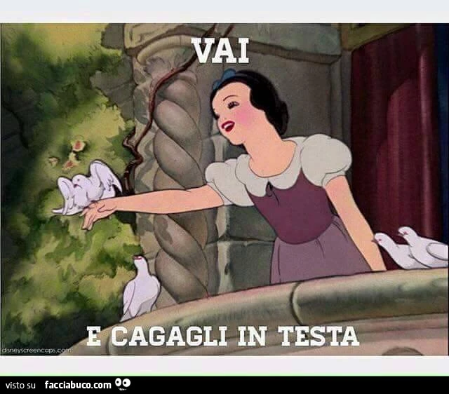 Vaccata