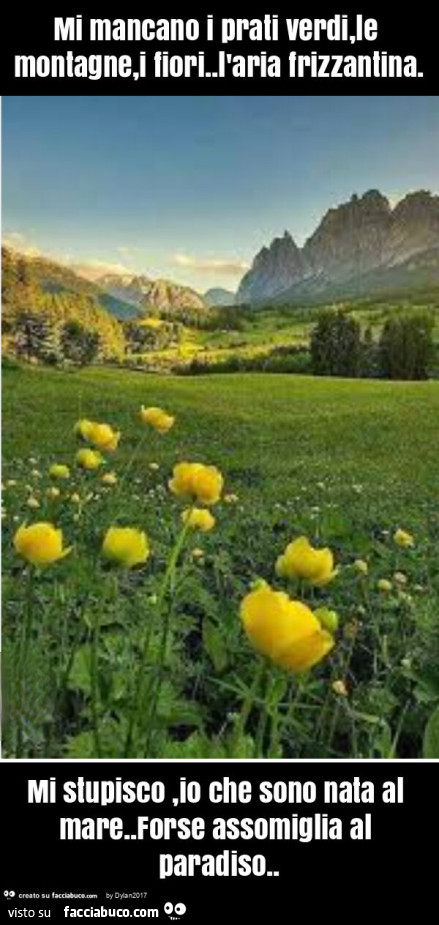 Mi mancano i prati verdi, le montagne, i fiori. L'aria frizzantina. Mi stupisco, io che sono nata al mare. Forse assomiglia al paradiso