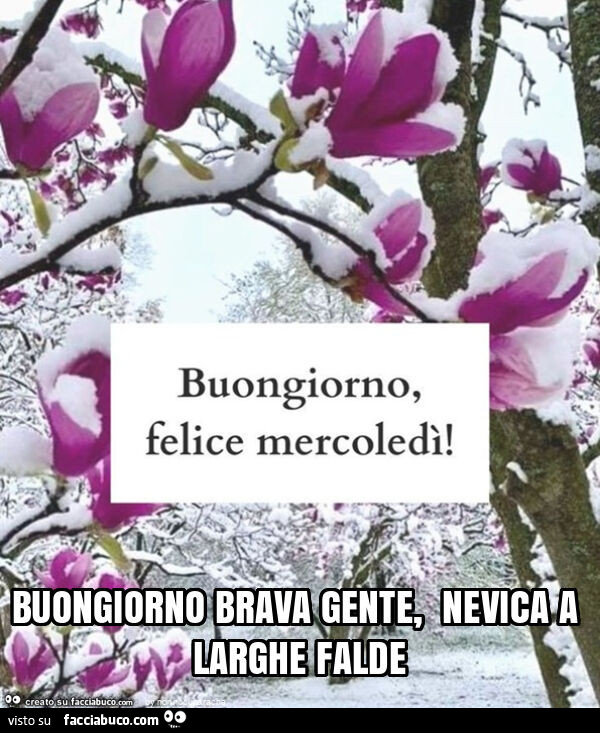 Buongiorno brava gente, nevica a larghe falde
