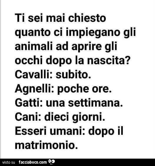 Ti sei mai chiesto quanto ci impiegano gli animali ad aprire gli occhi dopo la nascita? Cavalli: subito. Agnelli: poche ore. Gatti: una settimana. Cani: dieci giorni. Esseri umani: dopo il matrimonio