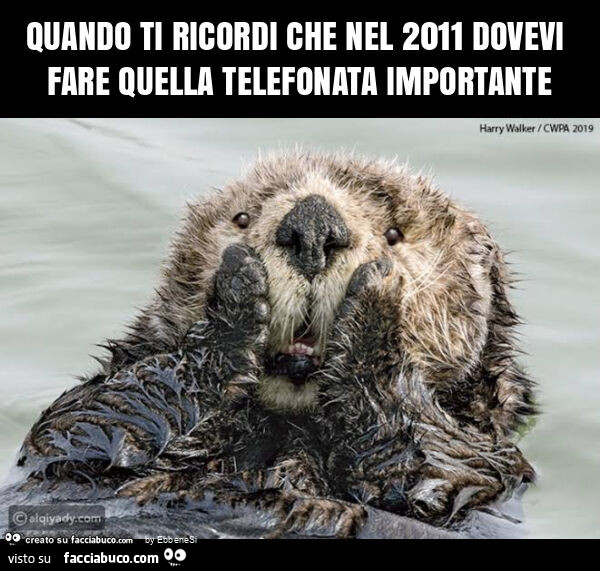 Quando ti ricordi che nel 2011 dovevi fare quella telefonata importante