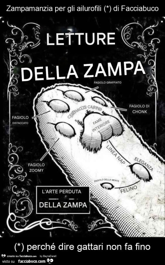 Zampamanzia per gli ailurofili (*) di Facciabuco (*) perché dire gattari non fa fino