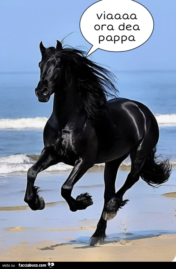 Cavallo