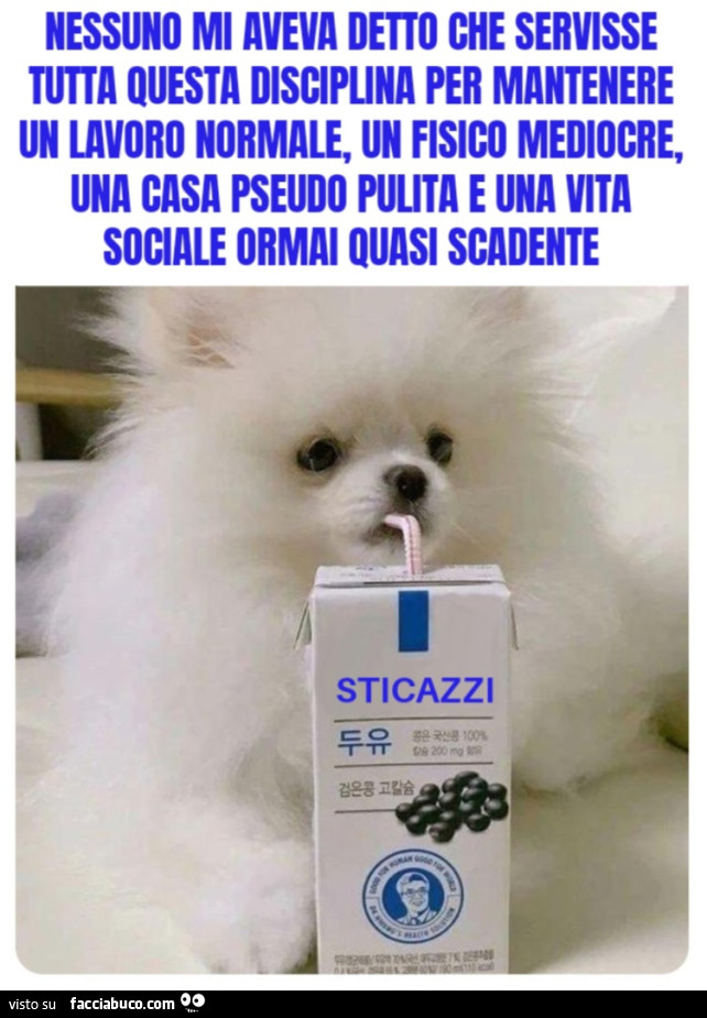 I Nessuno mi aveva detto che servisse tutta questa disciplina per mantenere un lavoro normale, Un fisico mediocre, una casa pseudo pulita e una vita sociale ormai quasi scadente