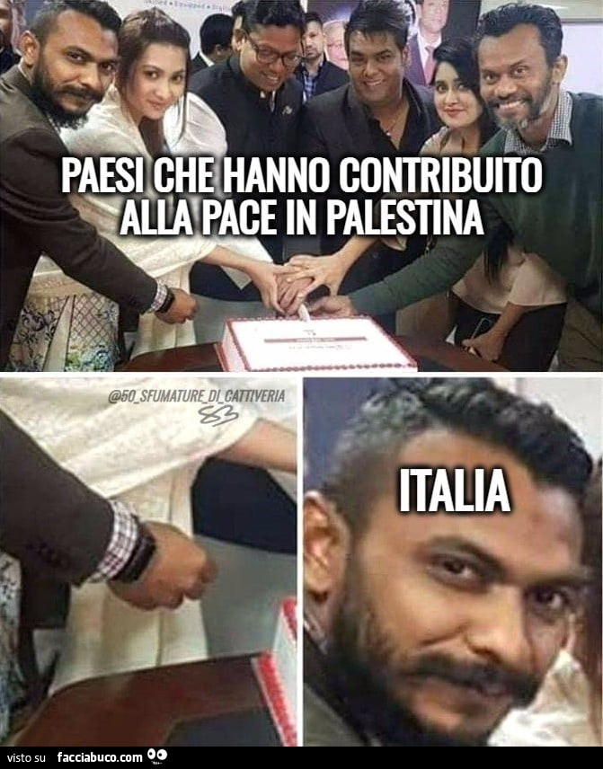 Paesi che hanno contribuito alla pace in palestina