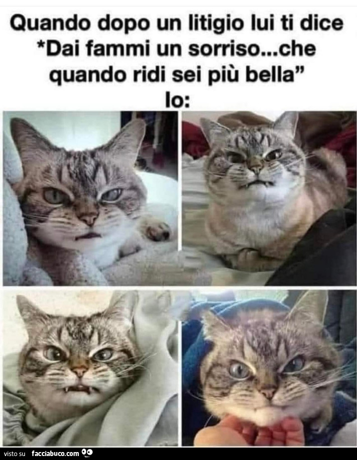 Litigio