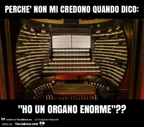 Perchè non mi credono quando dico: "ho un organo enorme"?