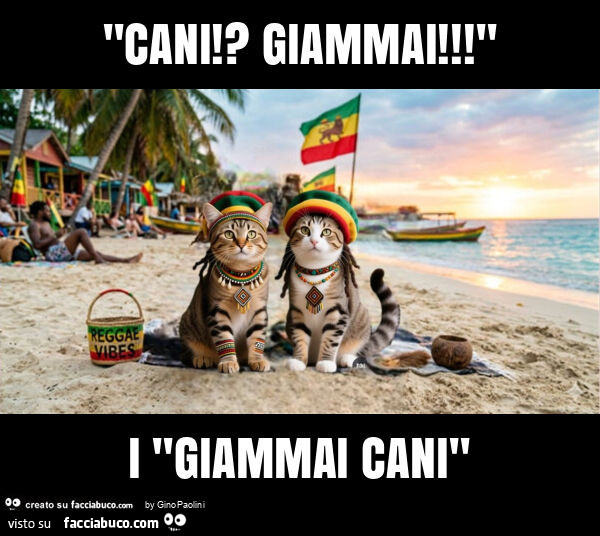 "cani!? Giammai! " I "giammai cani"