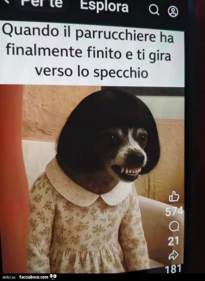 Vaccata