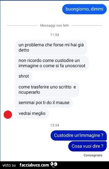 Buongiorno, dimmi. Un problema che forse mi hai già detto non ricordo come custodire un immagine o come si fa unoscroot shrot come trasferire uno scritto e ricuperarlo