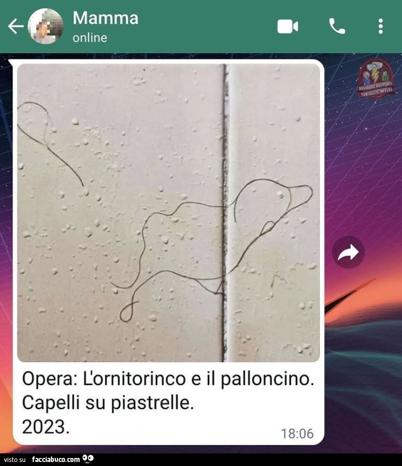 Ornitorinco