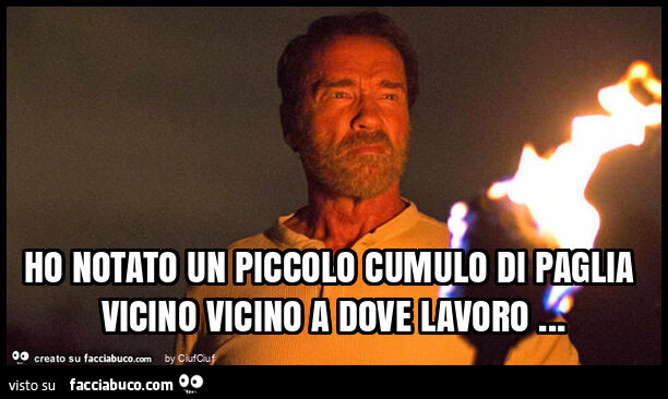 Ho notato un piccolo cumulo di paglia vicino vicino a dove lavoro