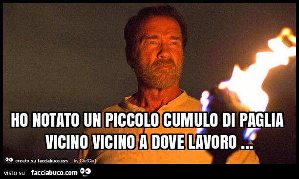 Ho notato un piccolo cumulo di paglia vicino vicino a dove lavoro