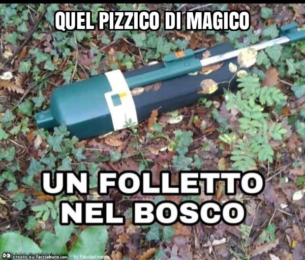 Quel pizzico di magico