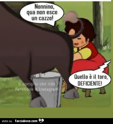 Vaccata