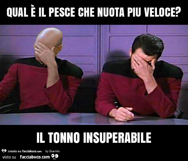 Qual è il pesce che nuota piu veloce? Il tonno insuperabile