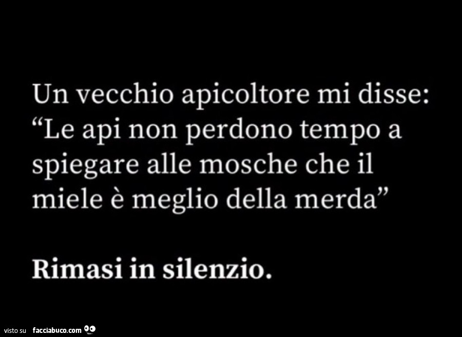 Un vecchio apicoltore mi disse: le api non perdono tempo a spiegare alle mosche che il miele è meglio della merda. Rimasi in silenzio